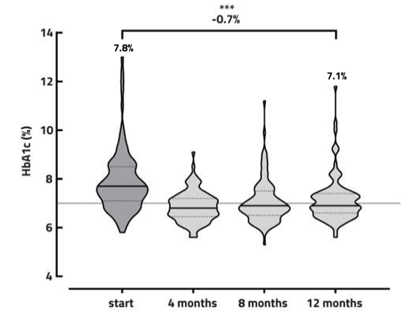 Ein Violin-Plot zur Darstellung der HbA1c-Entwicklung über 12 Monate. Der durchschnittliche HbA1c-Wert sinkt signifikant von 7,8 % zu Studienbeginn auf 7,1 % nach einem Jahr (Reduktion um 0,7 %), wobei die Grafik auch die Verengung der Streubreite verdeutlicht.
